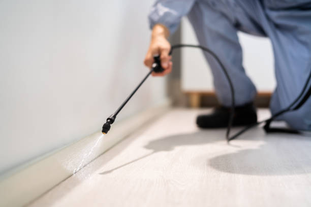 Licensed Pest Control service in Broad Creek, NC - Show Me Pest Control